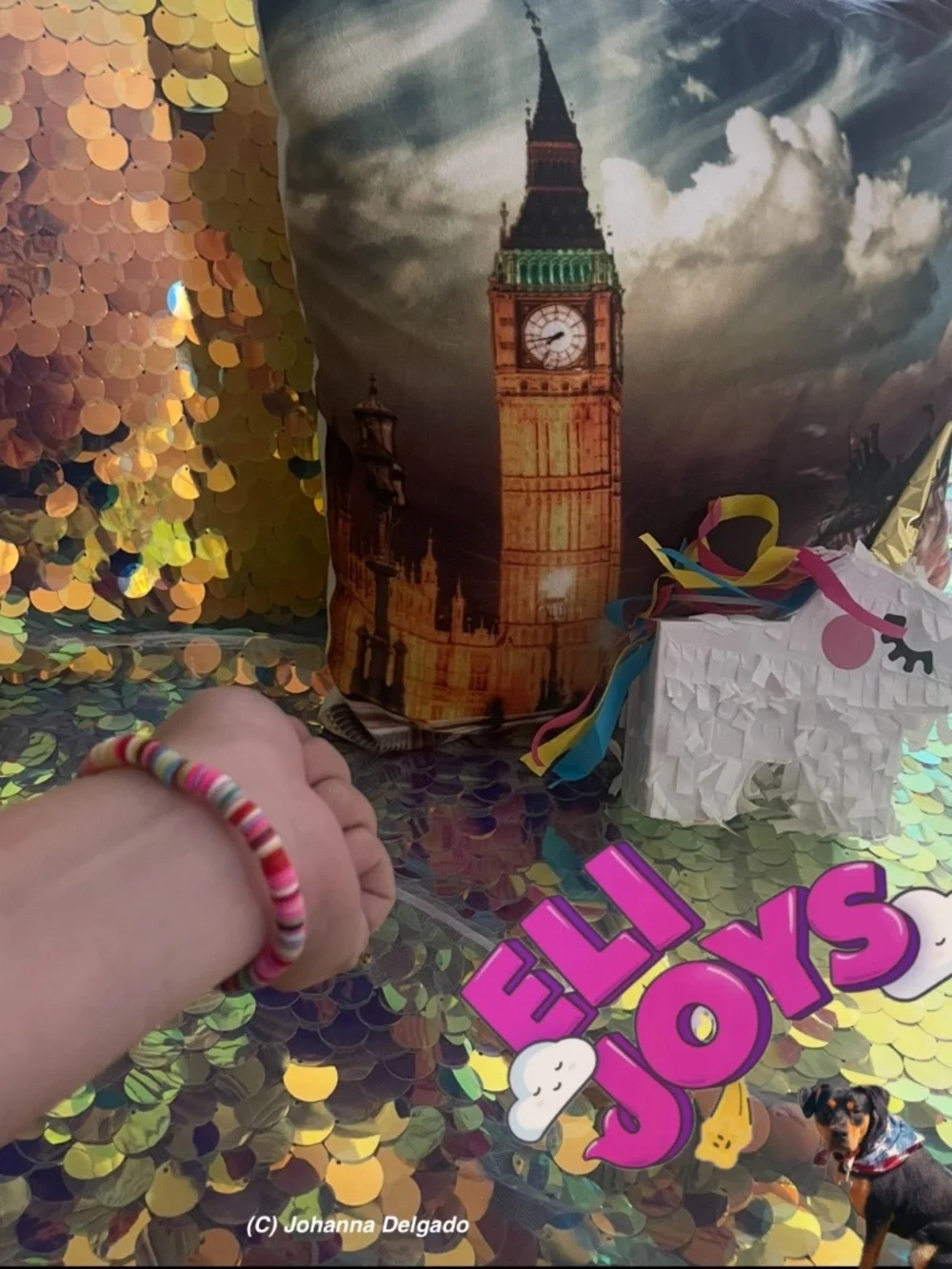 ELIJOYS rainbow bracelet OS